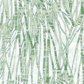 Abstract bamboo grass botanical