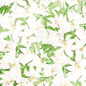 white lily pattern 