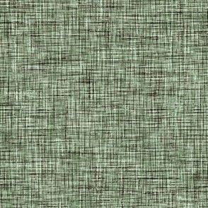 2581 large - Linen Texture - Sage Green
