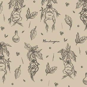 Mandragore/Harry Potter/ Herbology/Botany