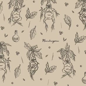 Mandrake Herbology