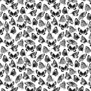 Butterflies Black and White - Small Version