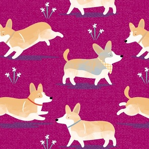 Corgis in the park purple