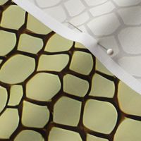 honeycomb mosaic