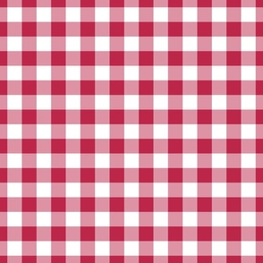 Viva Magenta Gingham Plaid / Cottagecore / Large