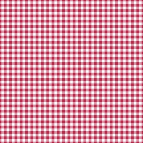 Viva Magenta Gingham Plaid / Cottagecore / Small