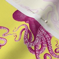 4" octopus verrucosus pink on lemon yellow background