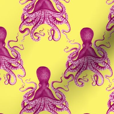 4" octopus verrucosus pink on lemon yellow background