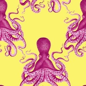 4" octopus verrucosus pink on lemon yellow background