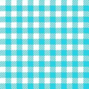 Gingham (Aqua, 0.5 inch check)