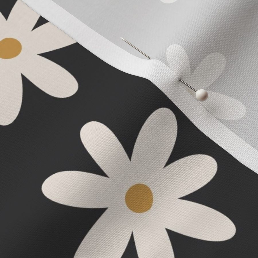 Ivory Daisies on Dark Gray Background