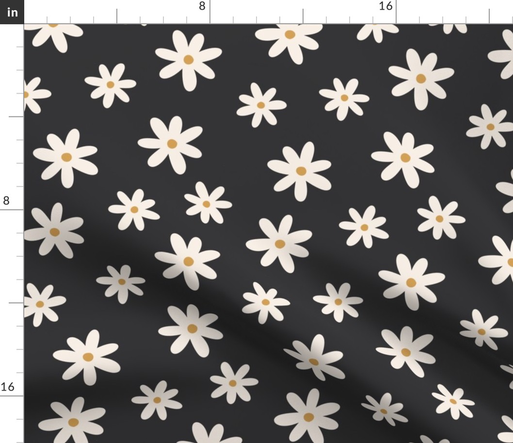 Ivory Daisies on Dark Gray Background