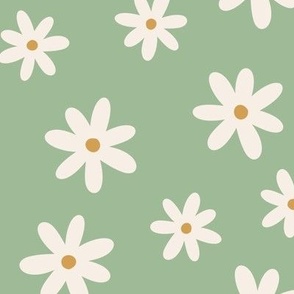 Ivory Daisies on Green Background