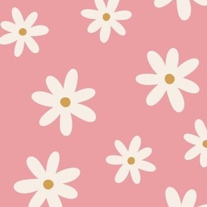 Ivory Daisies on Pink Background