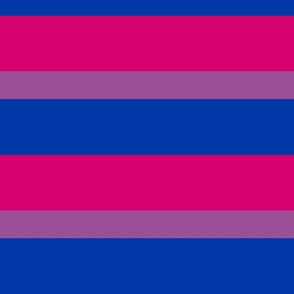 Bisexual Flag Stripes