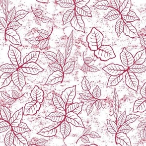 Assorted Viva Magenta Foliage Outlines on White Texture