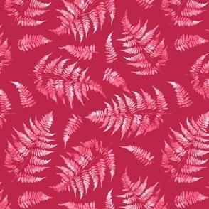 Pink to White Ferns on Viva Magenta