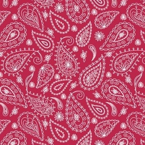 White Paisley on Viva Magenta