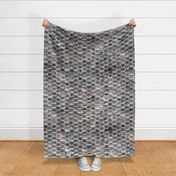 Koi Scales // large scale // grey