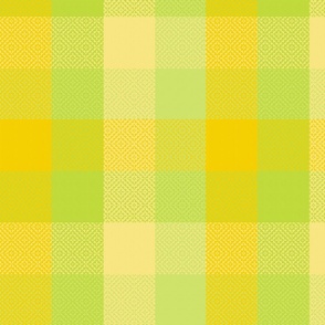 Spring Summer 2023 Pantone Trend  , Plaid  medium