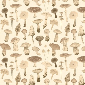 (MEDIUM) Mushroom Season in Monochromatic Faded Sepia tones 