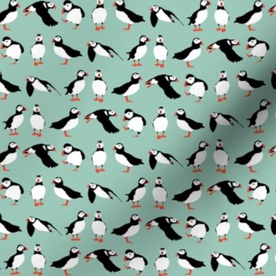 just puffins aqua small