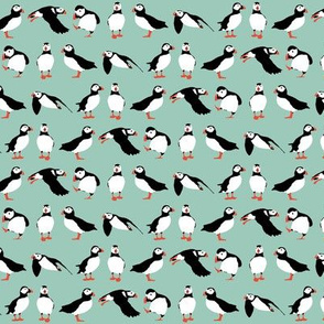 just puffins aqua small