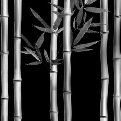 Bamboo Stripes BnW