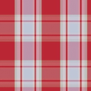 Preppy Plaid - Viva Magenta 2 (TBS144)