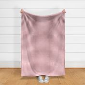 gingham viva magenta and pale dogwood | small