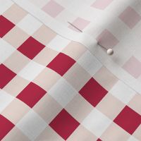 gingham viva magenta and pale dogwood | small