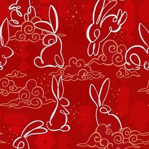 Year of the rabbit _ Chinese New Year