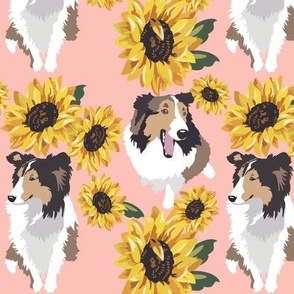 Sheltie Dog Large Print Sunflowers yellow peach pink floral dog fabric