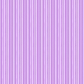 lilac stripes