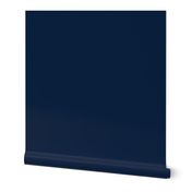 Auburn colors - Solid Color Coordinate - Blue