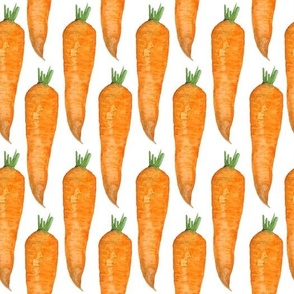 Watercolor Carrots on White Background