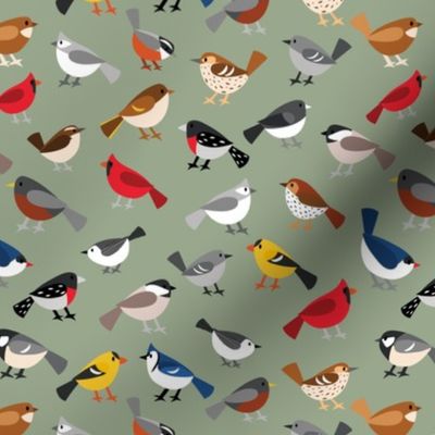 Busy Bird Feeder - popular North American song birds on a sage green background - small scale 