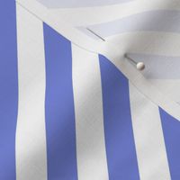 Classic Diagonal Stripes // Periwinkle and White