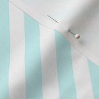 Classic Diagonal Stripes // Mint and White