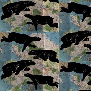 Black Polar bears on dark map