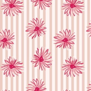 Magenta Daisy