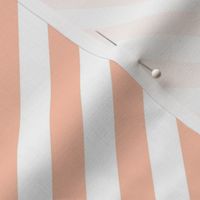 Classic Diagonal Stripes // Peachy and White