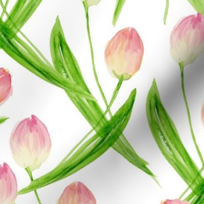 Pink and Green Watercolor Tulips