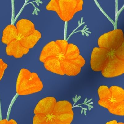 California Poppy