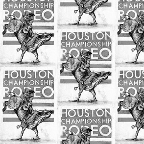 Houston Rodeo Blk/Wht