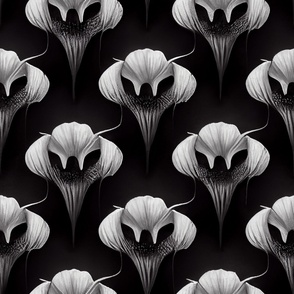 Abstract Orchid Black & White SBZ_29