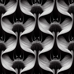 Abstract Black & White Curvy Floral SBZ_33