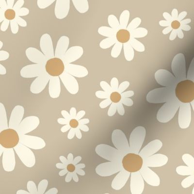 ( large ) Daisy, florals, daisies 