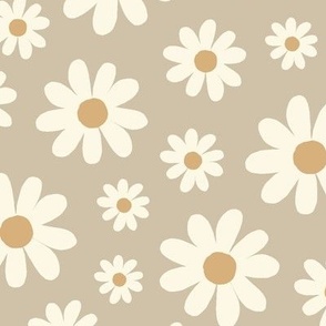 ( large ) Daisy, florals, daisies 