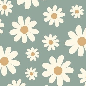 ( large ) Daisy, Daisies, sage